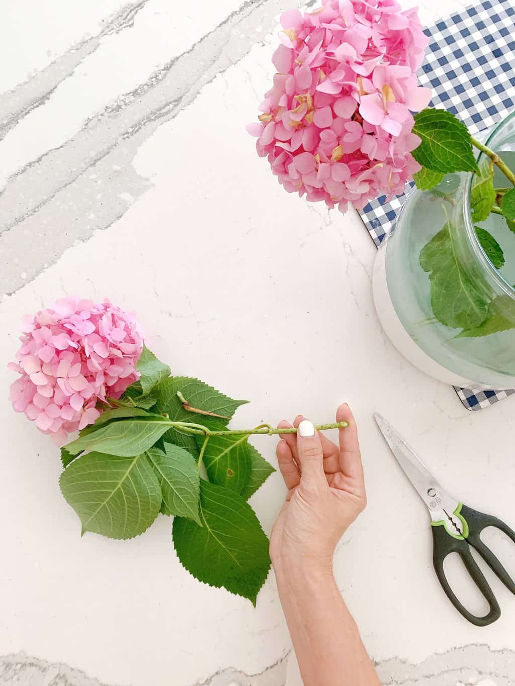 How I Keep Cut Hydrangeas From Wilting | Chrissy Marie Blog